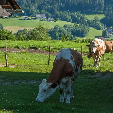 Moderne In Poels Mit Grosser Terrasse By Interhome * Pols