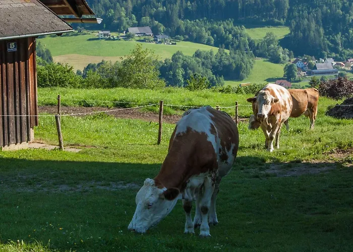 Moderne In Poels Mit Grosser Terrasse By Interhome * Pols