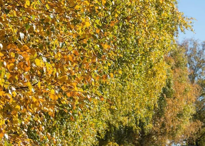 Moderne In Poels Mit Grosser Terrasse By Interhome